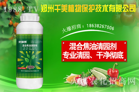 金錢草種子怎么種？金錢草種植方法介紹！