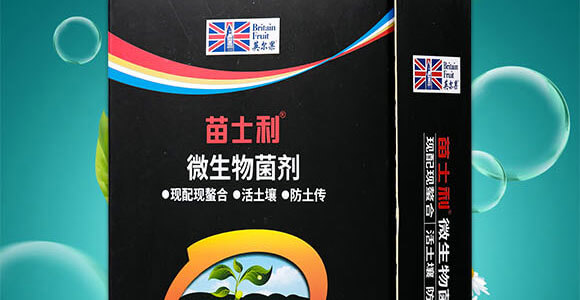 ΢�������-������-Ӣ����_02