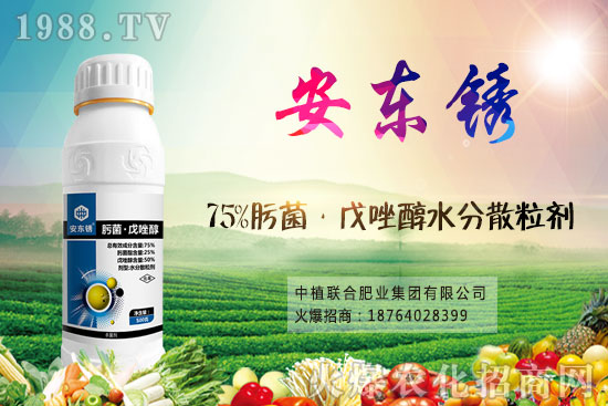 小麥價格后市將繼續(xù)漲?9月16日小麥價格走勢!