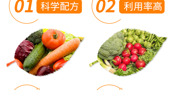 ���\�͵ι���@18-46-0+TE-Ħ�G�S-������_06