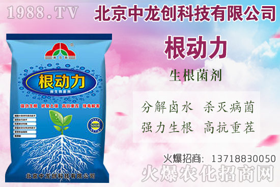 白蘿卜的需肥特性有哪些，白蘿卜施肥技術要點！