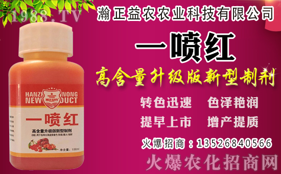 白蘿卜初秋種植還是深秋？白蘿卜種植時間和管理！