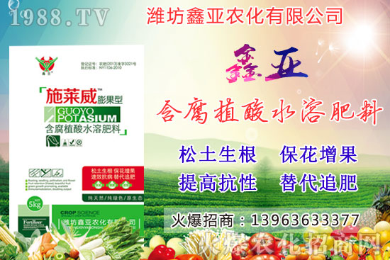 糧食漲價!20209月17日小麥價格行情如何?