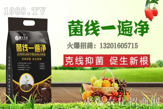 9月19日小麥價格更新,漲跌互現(xiàn)!