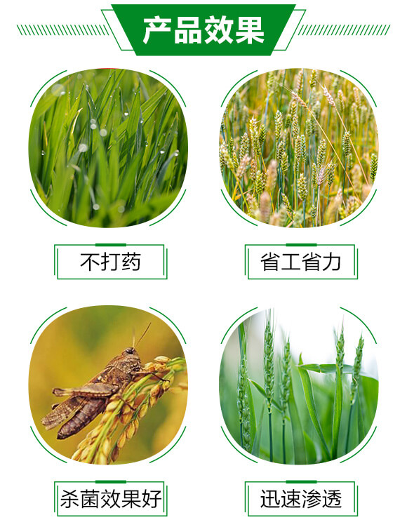 白粉熏蒸劑-百日無粉-沃爾優(yōu)_03