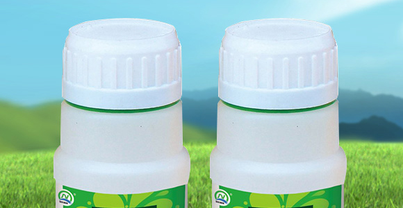 �����N������������-���r����_02