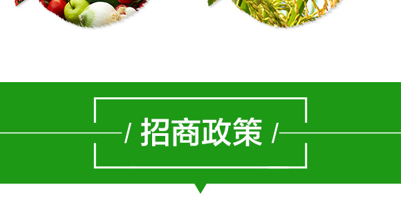 �����N������������-���r����_08