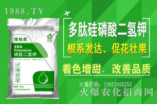 芹菜的優(yōu)良品種有哪些?芹菜種植生長環(huán)境(附種植技術(shù))