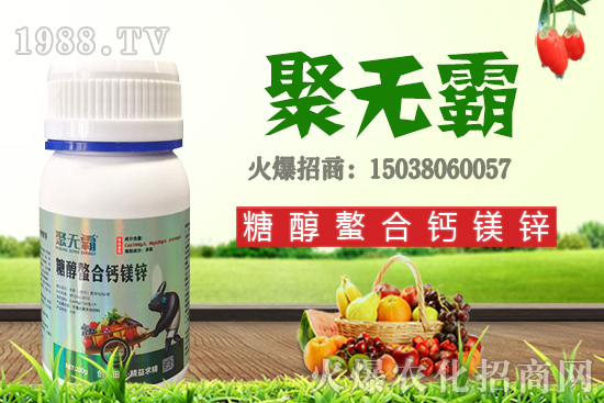 沙糖桔苗多少錢一棵？沙糖桔什么時候結(jié)果？栽培要點有哪些？