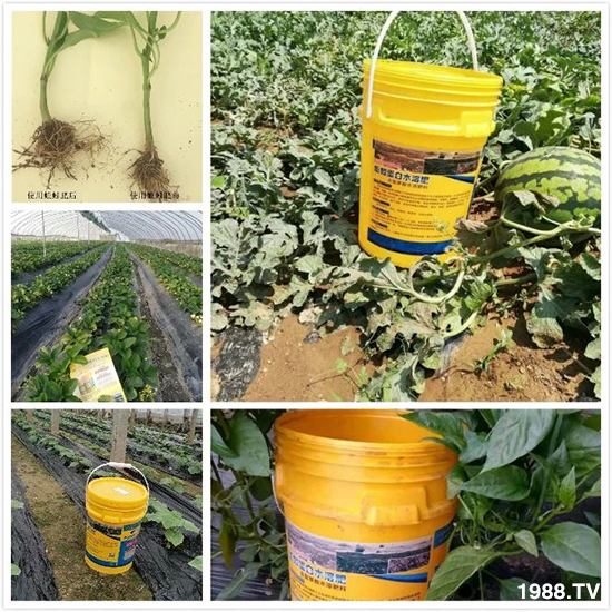 水溶肥市場大變革?。亢T寰?、魚蛋白將被它代替!1000多用戶鼎力推薦!