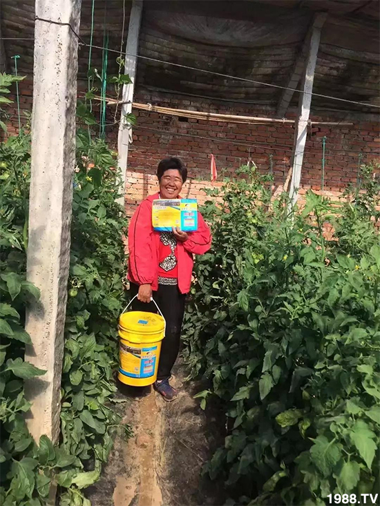 水溶肥市場大變革!?海藻精、魚蛋白將被它代替!1000多用戶鼎力推薦!