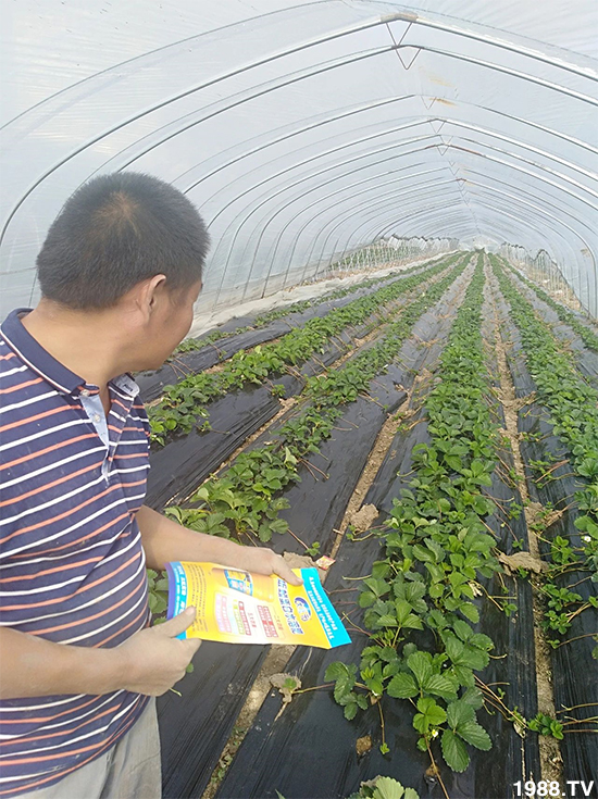 水溶肥市場大變革???海藻精、魚蛋白將被它代替!1000多用戶鼎力推薦!