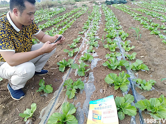 水溶肥市場大變革???海藻精、魚蛋白將被它代替!1000多用戶鼎力推薦!