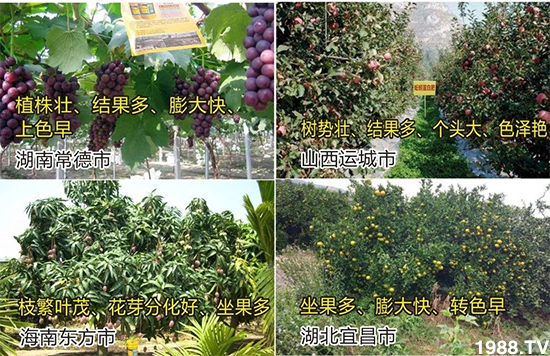 水溶肥市場大變革???海藻精、魚蛋白將被它代替!1000多用戶鼎力推薦!