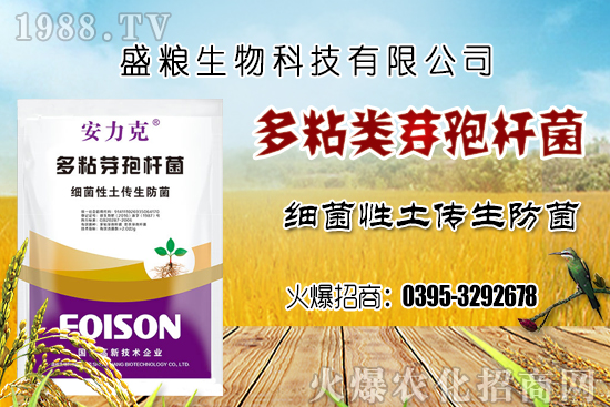 車?yán)遄臃N植環(huán)境要求有哪幾點(diǎn)?車?yán)遄恿挤N選擇及良種套種!