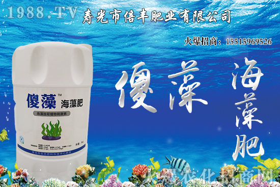 市場逐步回歸正常基本面,大豆價格沖高回落!