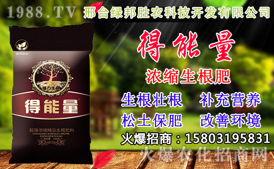 2020年小麥種子如何選？高產(chǎn)小麥品種有哪些？