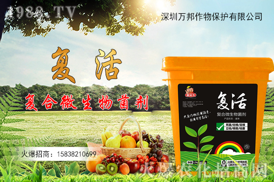 大棚油桃栽種后如何進(jìn)行管理,有什么方法要點(diǎn)?