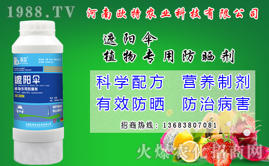 馬鈴薯可以和那些作物套種？馬鈴薯套種模式有什么好處？