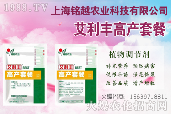 棉花吐絮是什么季節(jié)？常出現(xiàn)問題有哪些？棉花吐絮期管理要點！