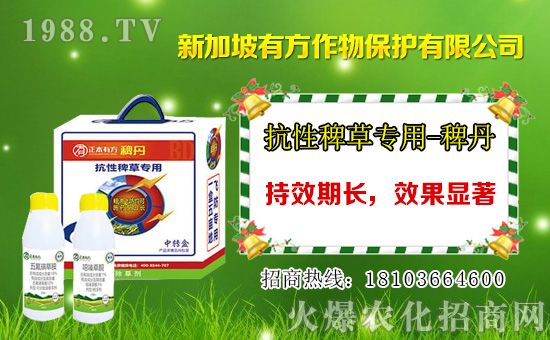 高效氟吡甲禾靈除草劑價格1月12日