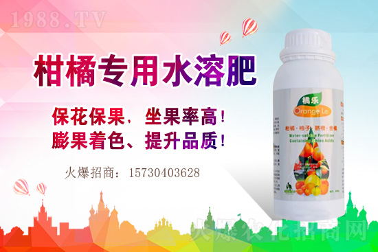 草莓的生長習(xí)性有哪些?早春大棚草莓管理技術(shù)要點!