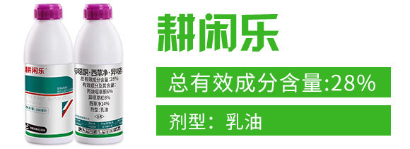 28%���fͪ�����݃������f����-���e��-���r(n��ng)����_02