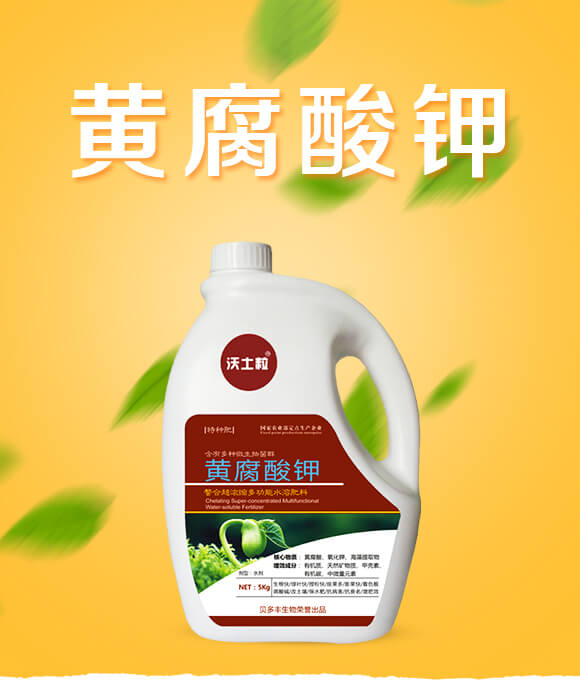 �S�����-ؐ���S_01