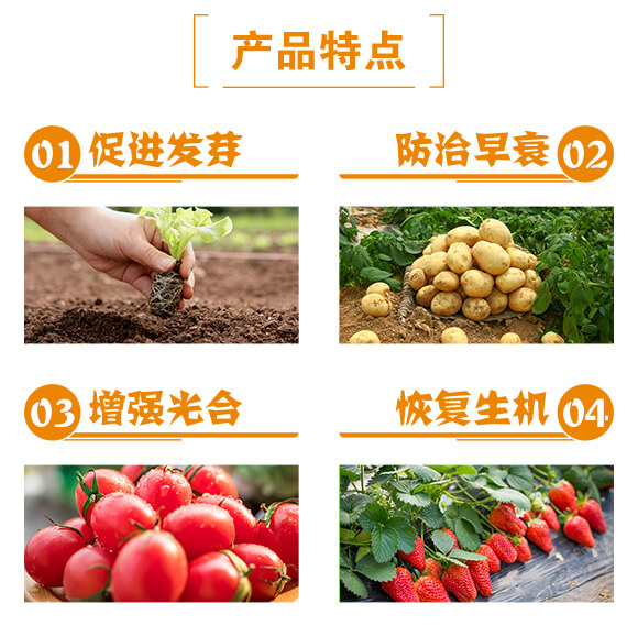 綠葉型深海魚(yú)蛋白-貝多豐_03