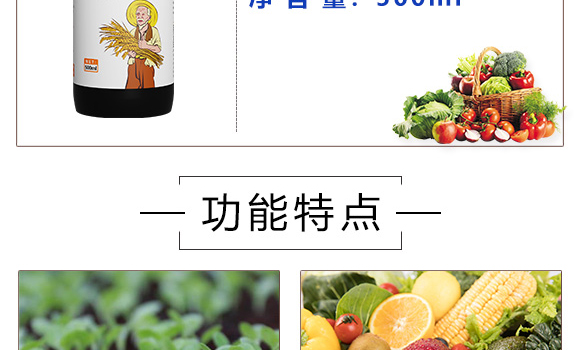 早熟鼓粒授粉液-實禾_04