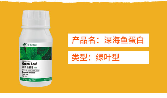 綠葉型深海魚(yú)蛋白-貝多豐_02