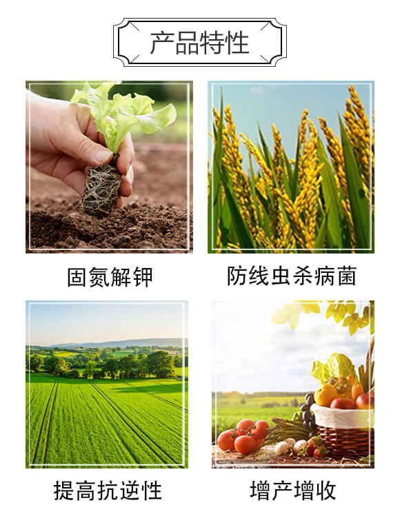 無線生機-三顆橘子_03