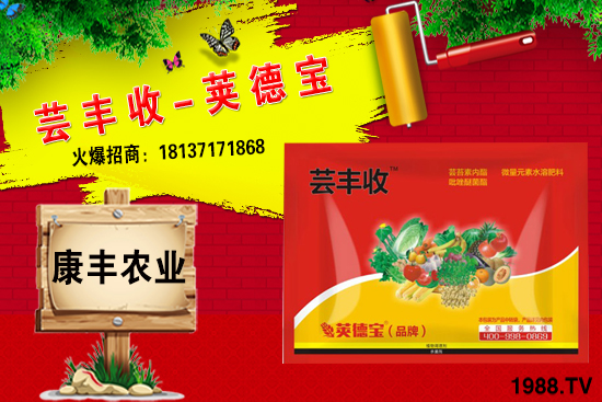 小麥高產套餐能解決小麥哪些問題？小麥高產套餐使用方法!