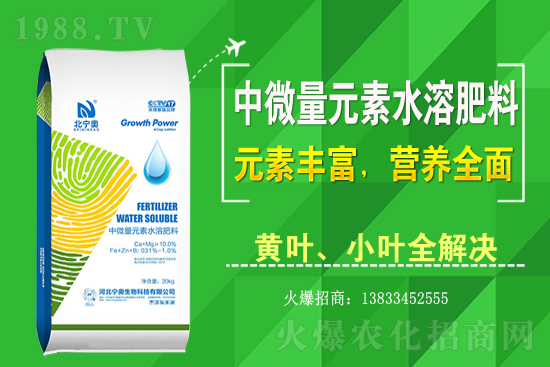 �S����ԓ��ô�Nֲ���S���˷Nֲ�^����ע����Щ���}��