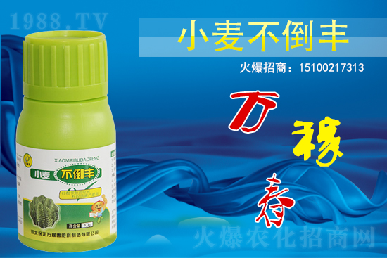 С��������ô����߀������С�������S!