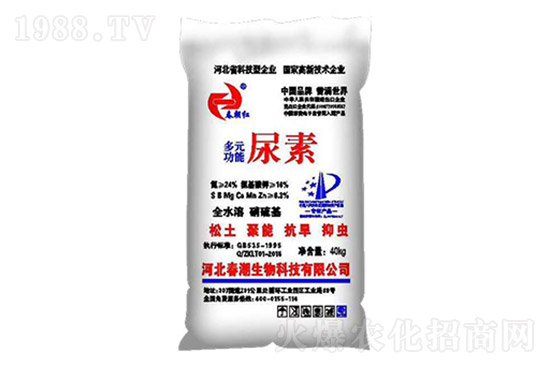 ���؃r���j�q��2021.10.20���؃r������