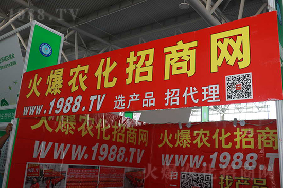 ��s������2021ɽ�|ֲ�������𱬾W(w��ng)��������ʢ�e��