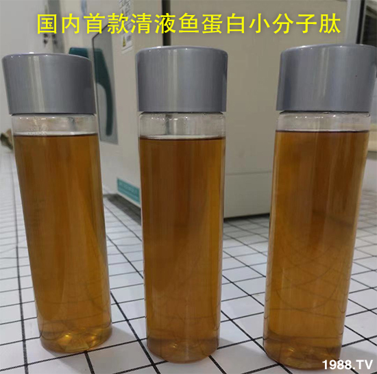 國(guó)內(nèi)清液魚(yú)蛋白小分子肽