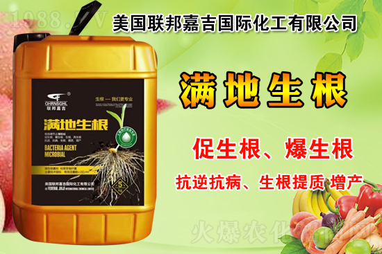 聯(lián)邦嘉吉怎么樣，聯(lián)邦嘉吉有哪些特色？公司暢銷產(chǎn)品有哪些？