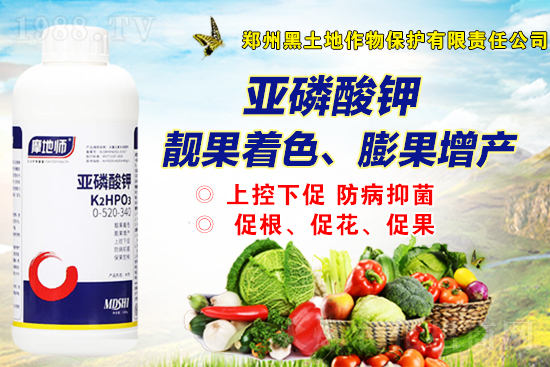 2021��12��2�����@��(b��o)�r(ji��)�Ƕ�����