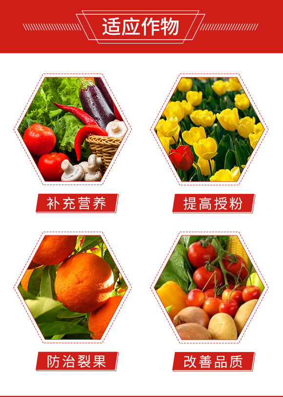 未標(biāo)題-1_03