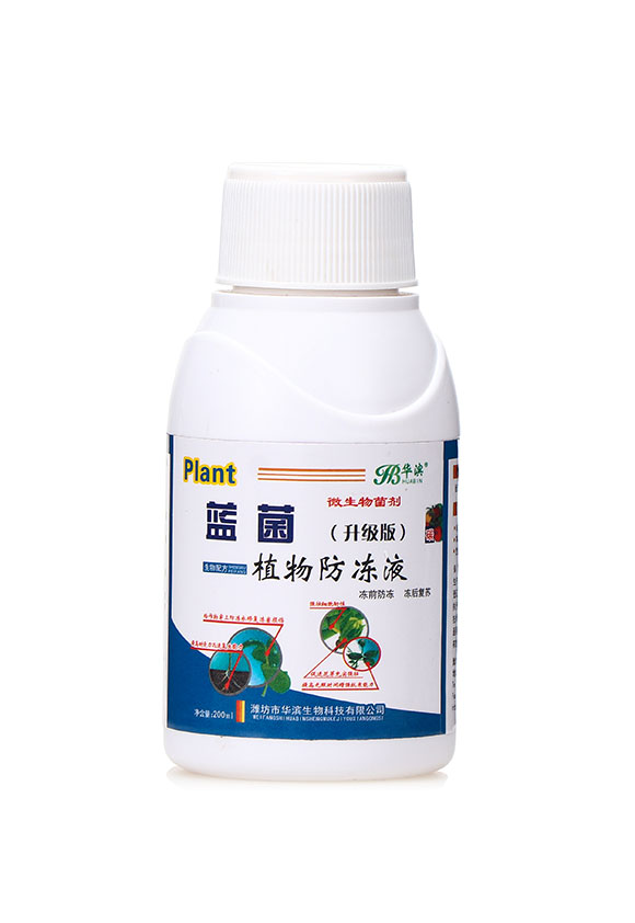 微生物菌劑（升級版）-藍菌植物防凍液-華濱1