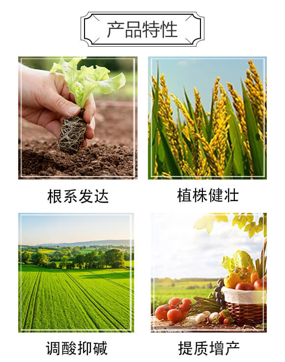 礦源黃腐酸鉀-生沃土-新博農(nóng)業(yè)_03