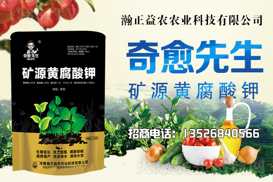 水稻價格還將上漲!上行空間有多大?附:當前水稻價格