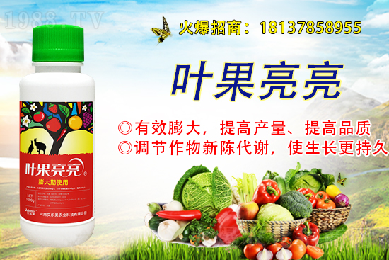 今日糧價:小麥價格行情及后市分析