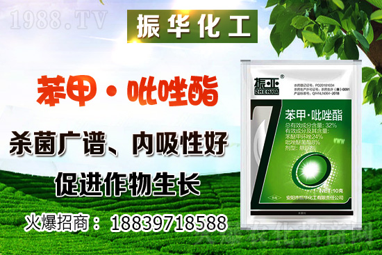 ���ԓ��ô�Nֲ������Nֲ�������h(hu��n)��Ҫ����