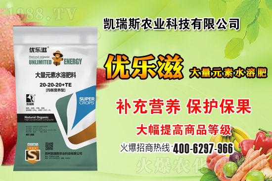 2021年3月11日主產(chǎn)區(qū)小麥價(jià)格行情