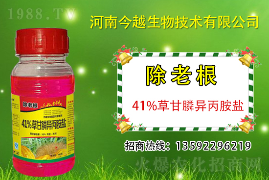 二氯吡啶酸除草劑價(jià)格2021.3.12