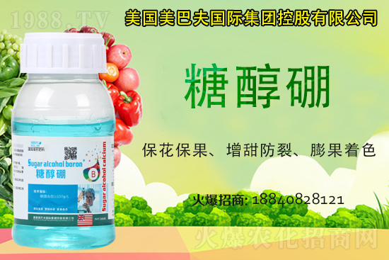 ���յ��ȶ����Xһ����2021�굾�ȃr(ji��)���Ƿ�߀��(hu��)�q��