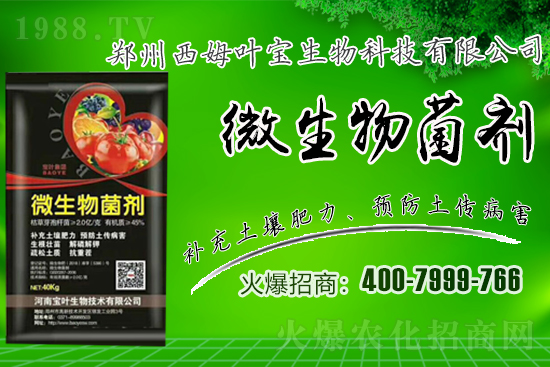 春季適合露地栽培的蔬菜品種有哪些?有哪些種植注意事項(xiàng)?